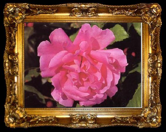 framed  unknow artist Still life floral, all kinds of reality flowers oil painting  164, ta009-2